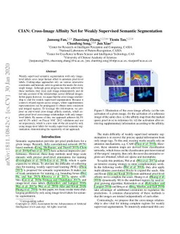 CIAN: Cross-Image Affinity Net for Weakly Supervised Semantic
  Segmentation