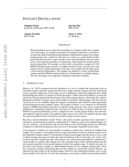 Dataset Distillation