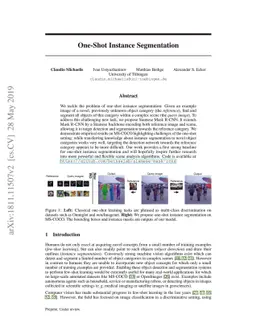 One-Shot Instance Segmentation