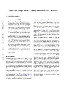 A Multiclass Multiple Instance Learning Method with Exact Likelihood