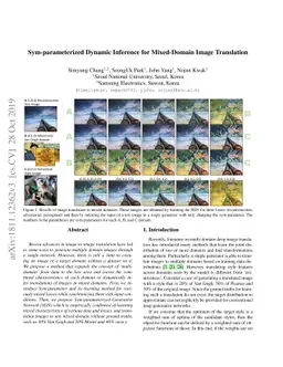 Sym-parameterized Dynamic Inference for Mixed-Domain Image Translation