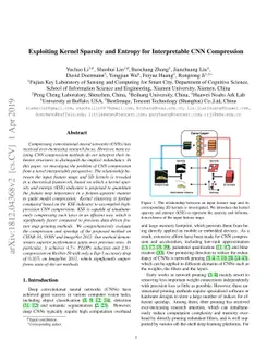 Exploiting Kernel Sparsity and Entropy for Interpretable CNN Compression