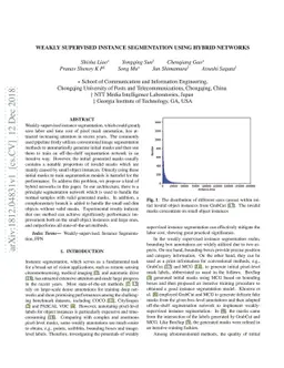 Weakly Supervised Instance Segmentation Using Hybrid Network