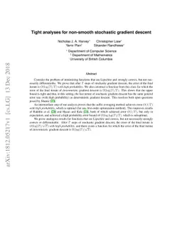 Tight Analyses for Non-Smooth Stochastic Gradient Descent