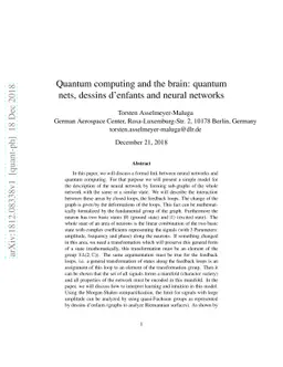 Quantum computing and the brain: quantum nets, dessins dénfants and
  neural networks