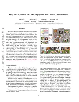 Deep Metric Transfer for Label Propagation with Limited Annotated Data