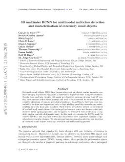 3D multirater RCNN for multimodal multiclass detection and
  characterisation of extremely small objects