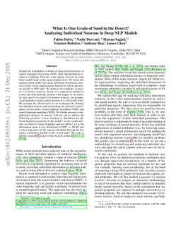 What Is One Grain of Sand in the Desert? Analyzing Individual Neurons in
  Deep NLP Models