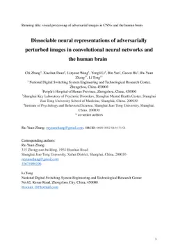Dissociable neural representations of adversarially perturbed images in
  convolutional neural networks and the human brain