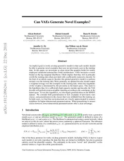 Can VAEs Generate Novel Examples?