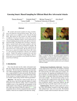 Guessing Smart: Biased Sampling for Efficient Black-Box Adversarial
  Attacks