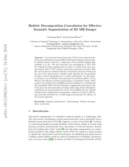 Holistic Decomposition Convolution for Effective Semantic Segmentation
  of 3D MR Images
