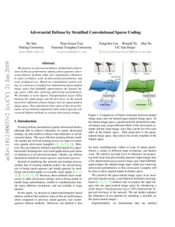Adversarial Defense by Stratified Convolutional Sparse Coding