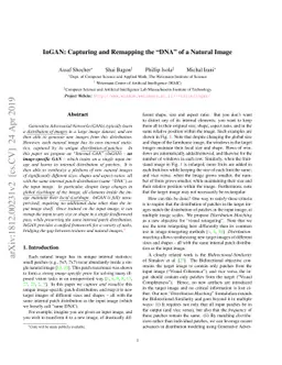 InGAN: Capturing and Remapping the "DNA" of a Natural Image