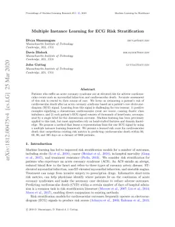 Multiple Instance Learning for ECG Risk Stratification