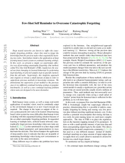 Few-Shot Self Reminder to Overcome Catastrophic Forgetting