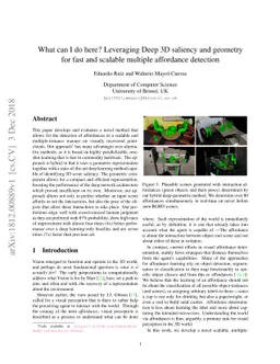 What can I do here? Leveraging Deep 3D saliency and geometry for fast
  and scalable multiple affordance detection