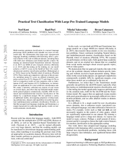 Practical Text Classification With Large Pre-Trained Language Models
