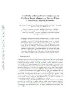 Feasibility of Colon Cancer Detection in Confocal Laser Microscopy
  Images Using Convolution Neural Networks