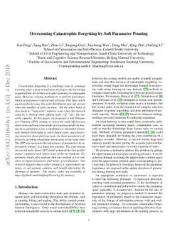 Overcoming Catastrophic Forgetting by Soft Parameter Pruning
