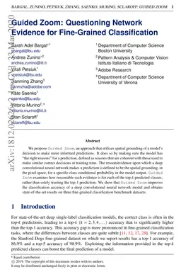 Guided Zoom: Questioning Network Evidence for Fine-grained
  Classification