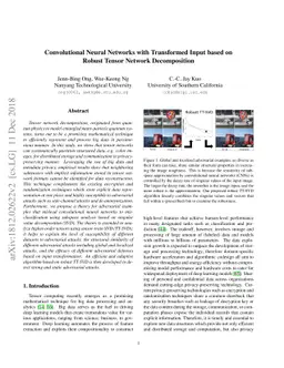 Convolutional Neural Networks with Transformed Input based on Robust
  Tensor Network Decomposition