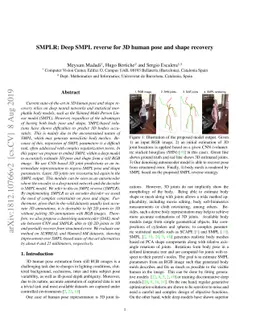 SMPLR: Deep SMPL reverse for 3D human pose and shape recovery