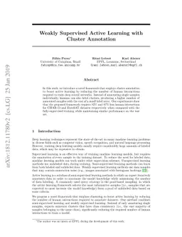 Weakly Supervised Active Learning with Cluster Annotation