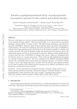 Towards a topological-geometrical theory of group equivariant
  non-expansive operators for data analysis and machine learning