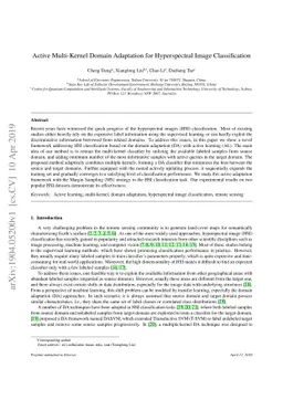 Active Multi-Kernel Domain Adaptation for Hyperspectral Image
  Classification