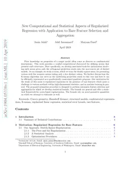 New Computational and Statistical Aspects of Regularized Regression with
  Application to Rare Feature Selection and Aggregation