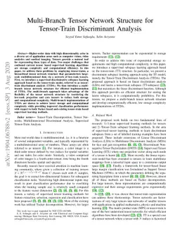 Multi-Branch Tensor Network Structure for Tensor-Train Discriminant
  Analysis