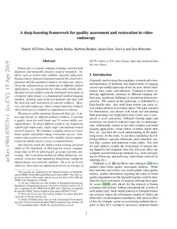 A deep learning framework for quality assessment and restoration in
  video endoscopy