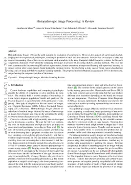 Histopathologic Image Processing: A Review