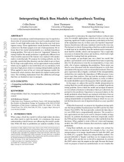 Interpreting Black Box Models via Hypothesis Testing