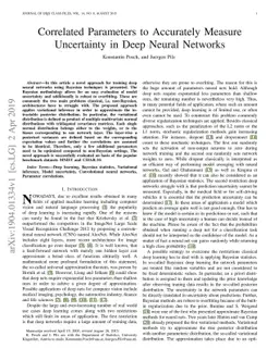 Correlated Parameters to Accurately Measure Uncertainty in Deep Neural
  Networks