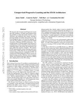 Unsupervised Progressive Learning and the STAM Architecture