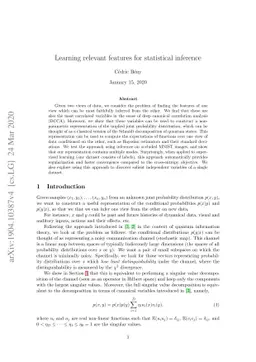 Learning relevant features for statistical inference