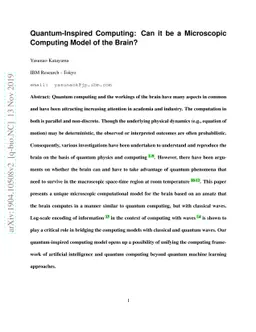 Quantum-Inspired Computing: Can it be a Microscopic Computing Model of
  the Brain?