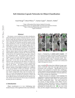 Self-Attention Capsule Networks for Object Classification