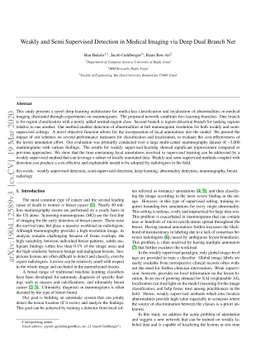 Weakly and Semi Supervised Detection in Medical Imaging via Deep Dual
  Branch Net