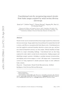 Convolutional nets for reconstructing neural circuits from brain images
  acquired by serial section electron microscopy