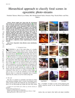 Hierarchical approach to classify food scenes in egocentric
  photo-streams