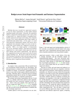 Budget-aware Semi-Supervised Semantic and Instance Segmentation