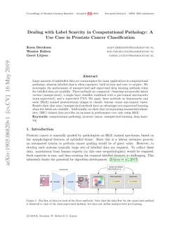 Dealing with Label Scarcity in Computational Pathology: A Use Case in
  Prostate Cancer Classification