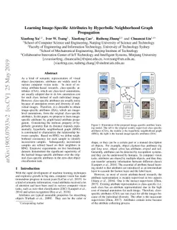 Learning Image-Specific Attributes by Hyperbolic Neighborhood Graph
  Propagation