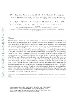 Decoding the Rejuvenating Effects of Mechanical Loading on Skeletal
  Maturation using in Vivo Imaging and Deep Learning