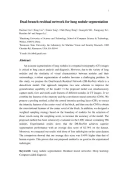 Dual-branch residual network for lung nodule segmentation
