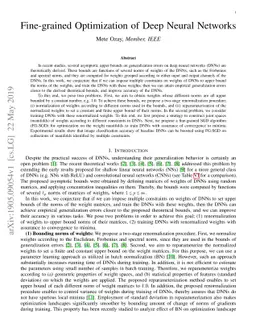 Fine-grained Optimization of Deep Neural Networks