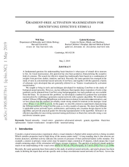 Gradient-free activation maximization for identifying effective stimuli